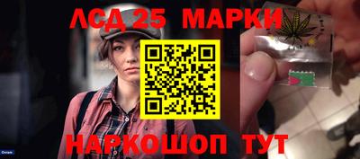 спиды Аргун