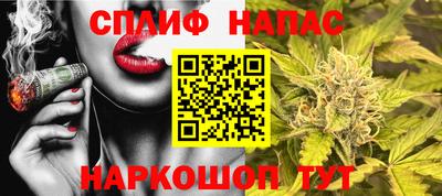 дмт Рязань