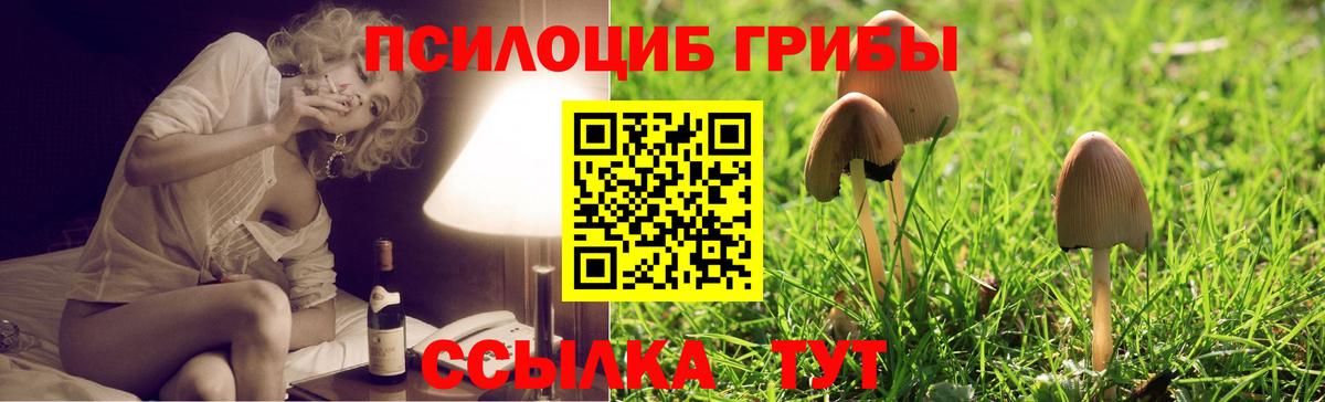 Псилоцибиновые грибы GOLDEN TEACHER Волжск